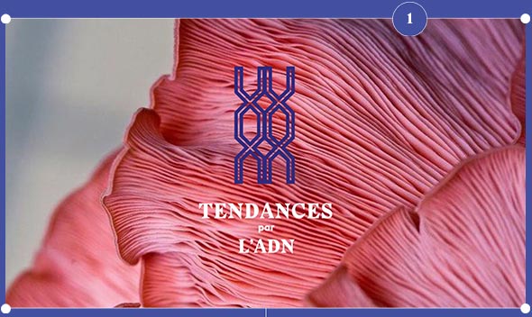 L'ADN tendances !