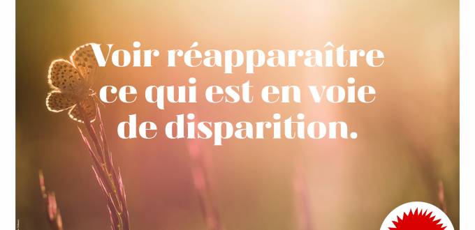 7_Affiche_FNE 7_Affiche_FNE