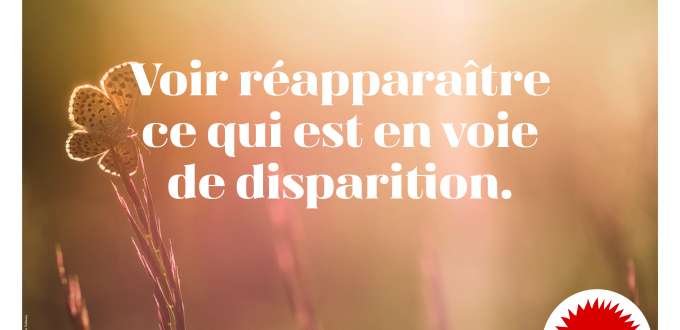 7_Affiche_FNE 7_Affiche_FNE