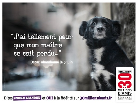 actu_22209_vignette actu_22209_vignette