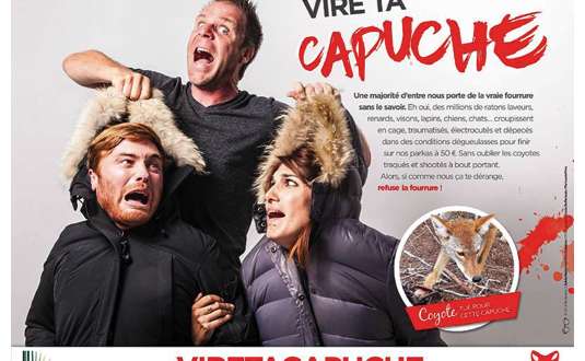 vire ta capuche trois ok vire ta capuche trois ok