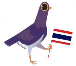 pigeon_fail