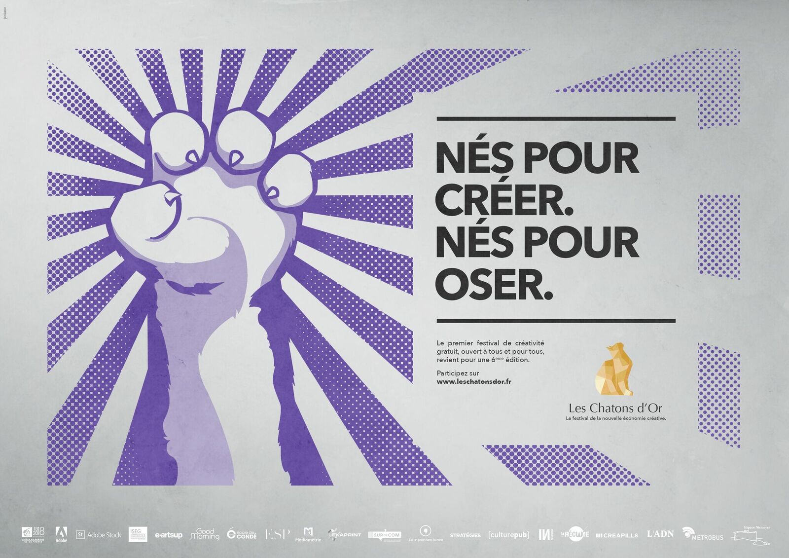 chatonsdor2017_2-min