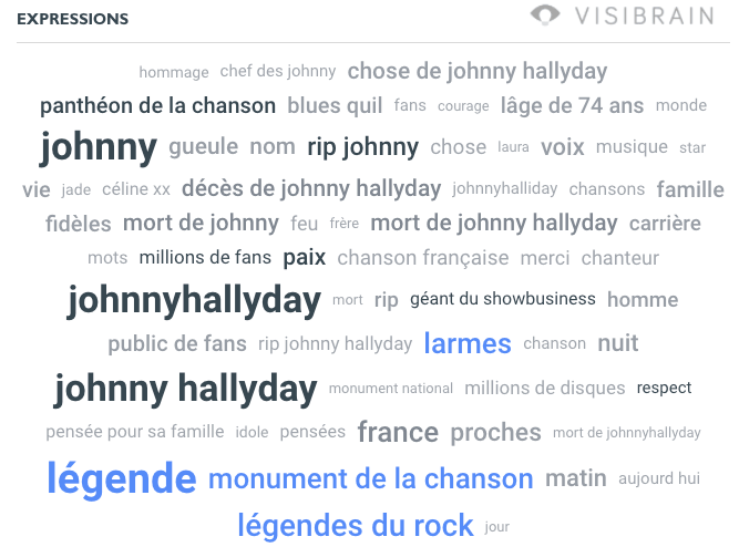 nuage de mots employes pour la mort de johnny
