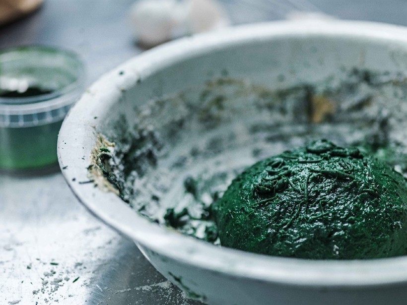 algues spiruline