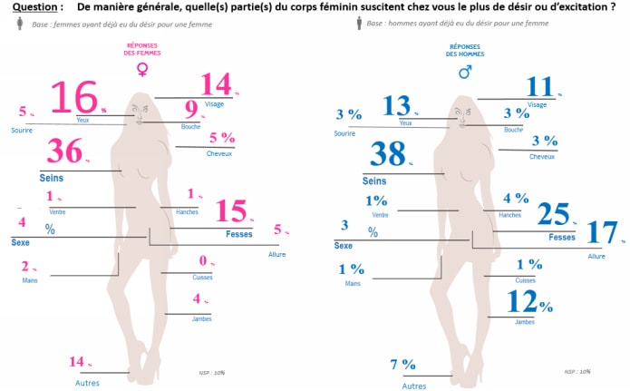 infographie parties du corps