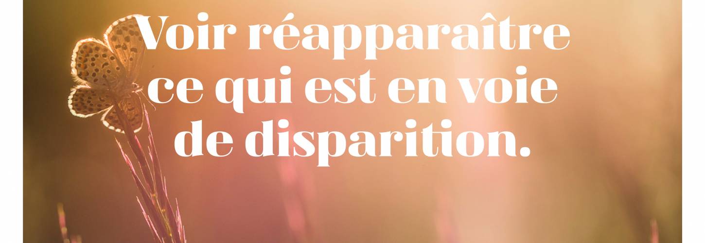 7_Affiche_FNE 7_Affiche_FNE
