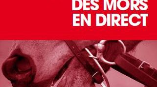 actu_10391_vignette_alaune actu_10391_vignette_alaune