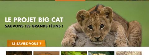 actu_12003_vignette_alaune actu_12003_vignette_alaune