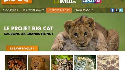 actu_12003_vignette_alaune