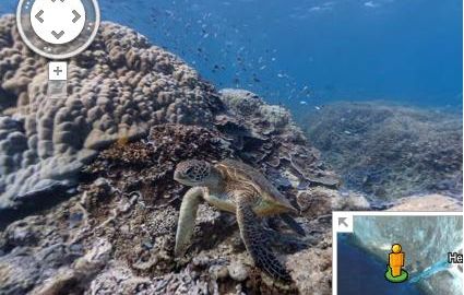 actu_14537_vignette_alaune