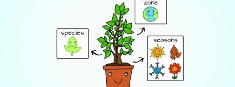 actu_15344_vignette_alaune actu_15344_vignette_alaune