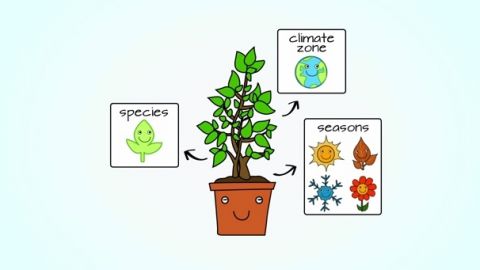 actu_15344_vignette_alaune