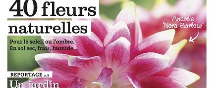 actu_16414_vignette_alaune actu_16414_vignette_alaune