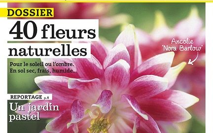 actu_16414_vignette_alaune