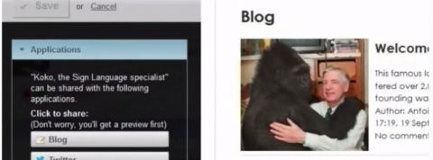 actu_16577_vignette_alaune actu_16577_vignette_alaune