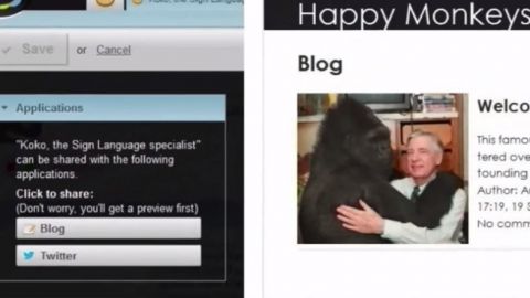 actu_16577_vignette_alaune