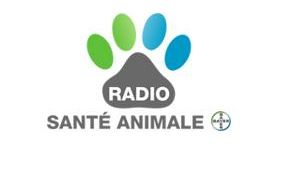 actu_17554_vignette_alaune actu_17554_vignette_alaune