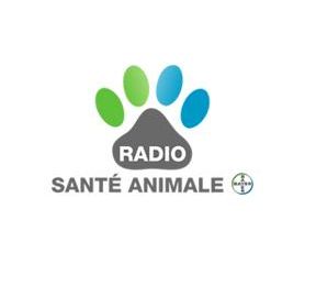 actu_17554_vignette_alaune