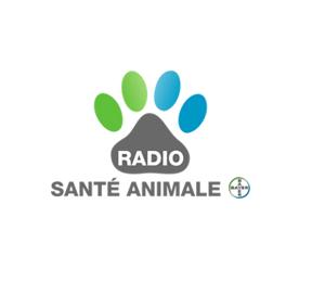 actu_17554_vignette_alaune actu_17554_vignette_alaune