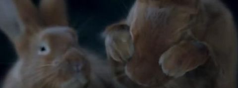 actu_17810_vignette_alaune actu_17810_vignette_alaune