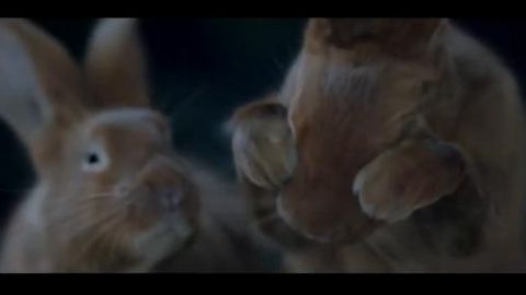 actu_17810_vignette_alaune