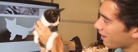 actu_19835_vignette actu_19835_vignette