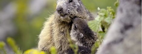 actu_19940_vignette actu_19940_vignette