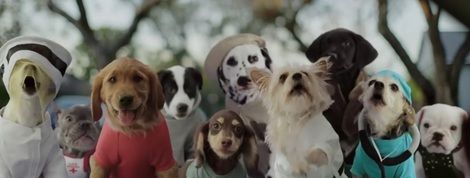 actu_20017_vignette actu_20017_vignette