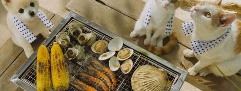 actu_20071_vignette actu_20071_vignette