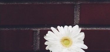 actu_20073_vignette actu_20073_vignette