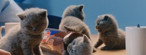 actu_20177_vignette actu_20177_vignette