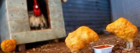 actu_20238_vignette actu_20238_vignette