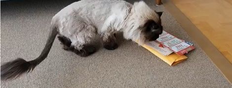 actu_20288_vignette actu_20288_vignette