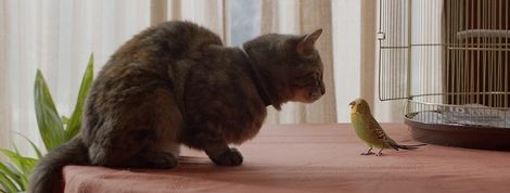 actu_20338_vignette actu_20338_vignette