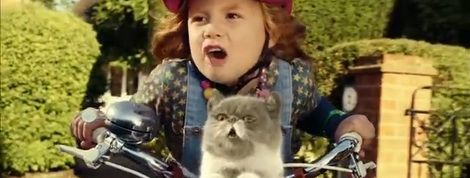 actu_20445_vignette actu_20445_vignette