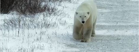 actu_20589_vignette actu_20589_vignette