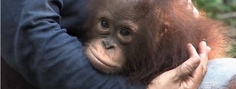 actu_20687_vignette actu_20687_vignette