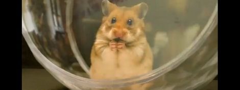 actu_20951_vignette actu_20951_vignette