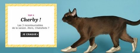 actu_21053_vignette actu_21053_vignette