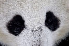 actu_21230_vignette actu_21230_vignette