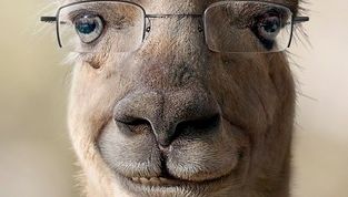 actu_21261_vignette actu_21261_vignette