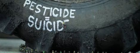 actu_21372_vignette actu_21372_vignette