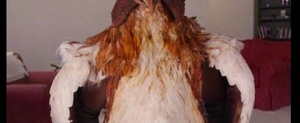 actu_21498_vignette actu_21498_vignette