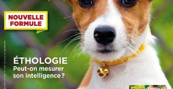 actu_21576_vignette actu_21576_vignette