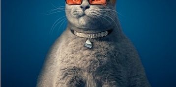 actu_21586_vignette actu_21586_vignette