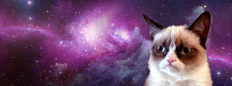 actu_22440_vignette actu_22440_vignette