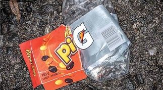 actu_22611_vignette actu_22611_vignette