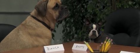 actu_22735_vignette actu_22735_vignette