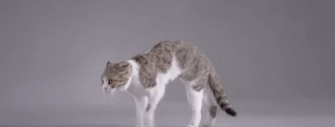 actu_22792_vignette actu_22792_vignette